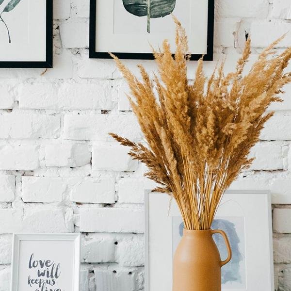 Understanding Life Insurance After 50